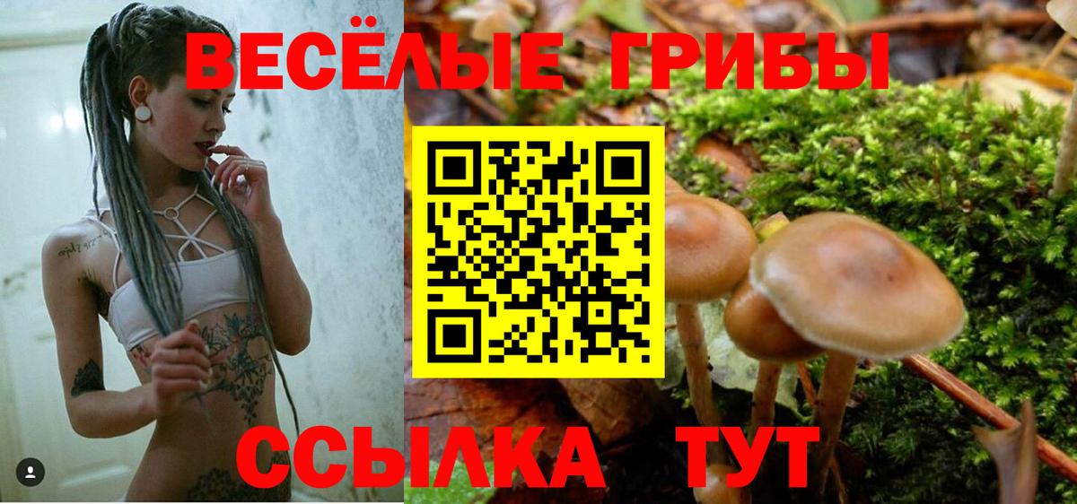 Псилоцибиновые грибы Magic Shrooms  Вход с VPN  Первоуральск 
